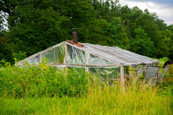 Serre dans le jardin été — Photo