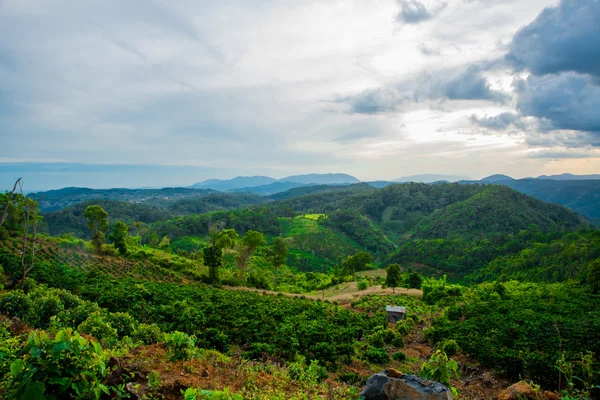 Landscape.The bergen en heuvels. Zomer. Vietnam, Dalat. — Stockfoto