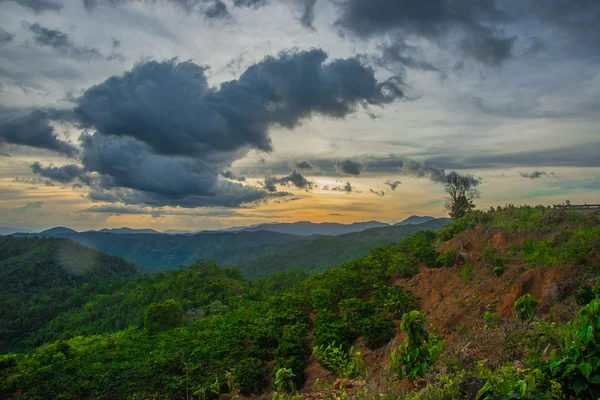 Landscape.The dağlar ve tepeler. Yaz. Vietnam, Dalat. — Stok fotoğraf