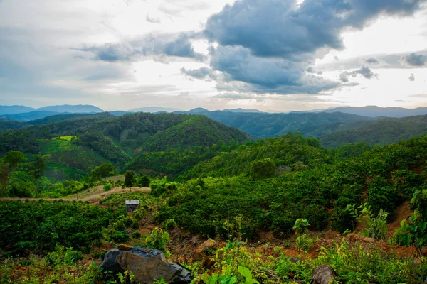 Landscape.The hory a kopce. V létě. Vietnam, Dalat. — Stock fotografie