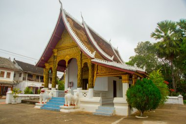 Altın Budist tapınağı. Luang Prabang.Laos.