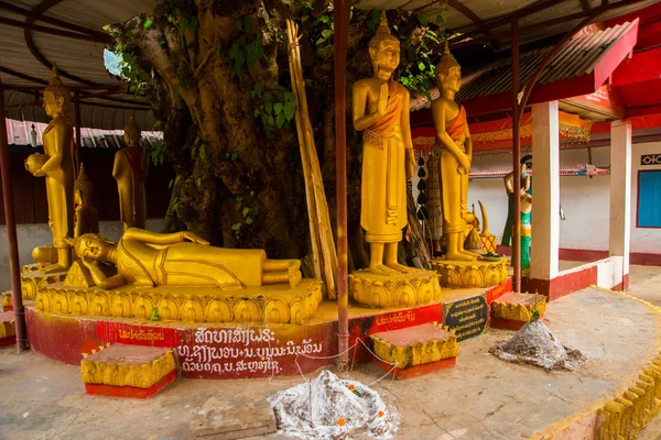 La estatua dorada Bubba en el árbol. Laos, Muang Choi . — Foto de Stock