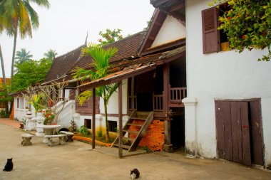 Budist tapınağı. Luang Prabang.Laos.