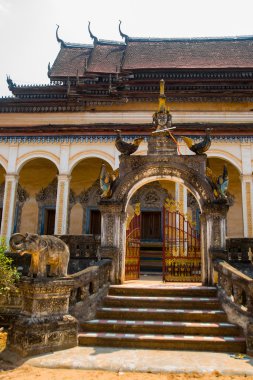 Bir filin Siemreap,Cambodia.Temple.A anıt 