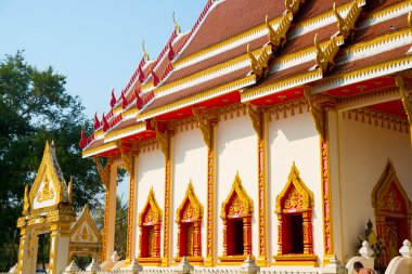 Thailand.Udon Thani Budist tapınağı.