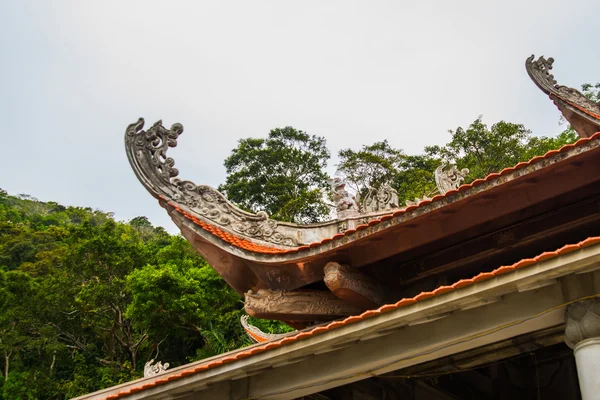 Pagode, temples. L'Asie. Voleur vietnamien. été . — Photo