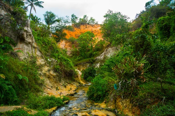 Wróżka strumienia, Suoi Tien, Mui Ne, Wietnam. Jedną z atrakcji turystycznych w górach Mui Ne.Beautiful i wody — Zdjęcie stockowe