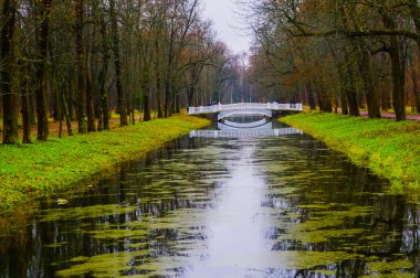 Küçük dere üzerinde köprü. Autumn.Russia,the Puşkin kasaba, St. Selo. Alexander park.
