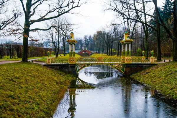 Puente chino sobre un pequeño arroyo. Otoño.Rusia, la ciudad de Pushkin, Tsarskoe Selo. Parque Alexander . —  Fotos de Stock