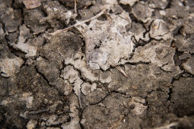 etkileyici kırık dünya