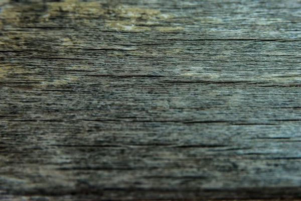 Wood texture, wood background and foundation — Stock Photo, Image