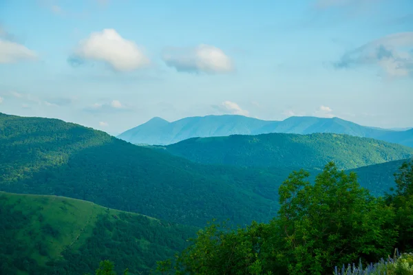 Mountains against the sky the summer.Gelendzhik.Russia. — Φωτογραφία Αρχείου