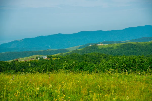 Grüne Wiese unter blauem Himmel und den Bergen — Stockfoto
