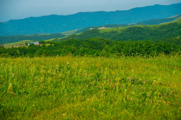 Grüne Wiese unter blauem Himmel und den Bergen — Stockfoto