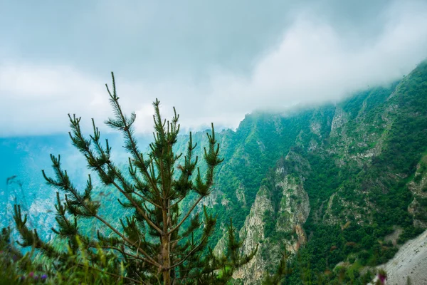 Belle montagne blu-verdi nella nebbia. Nuvoloso. Estate.Il Caucaso. .Russia . — Foto Stock