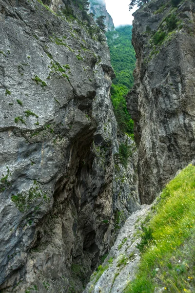 Hermosas rocas en clima nublado. El Cáucaso . — Foto de Stock