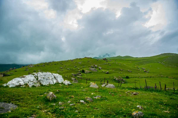 Grüne Wiese mit Gras. Kaukasus. .russien. — Stockfoto