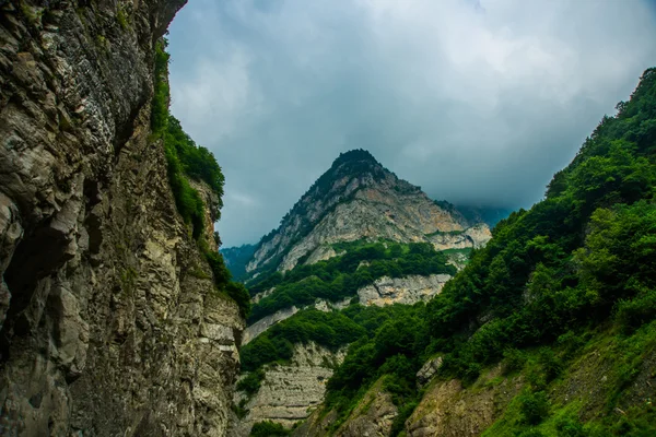 Bergen in de wolken. De Kaukasus. . Rusland. — Stockfoto