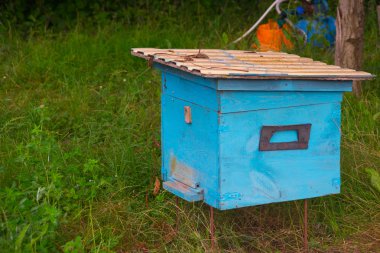Eski kovan arılar Bahçe, ahşap kutuları için.