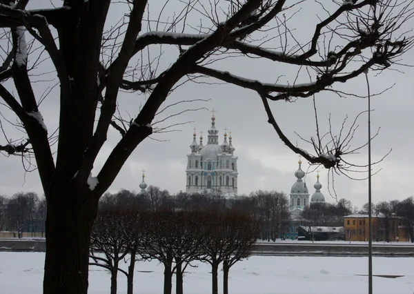 Смольний собор. Санкт Петербург. Росія — стокове фото