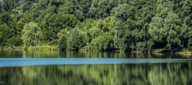 Yaz orman göl, doğal arka plan