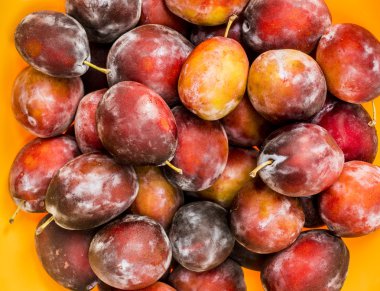 Arka plan olarak taze Erik