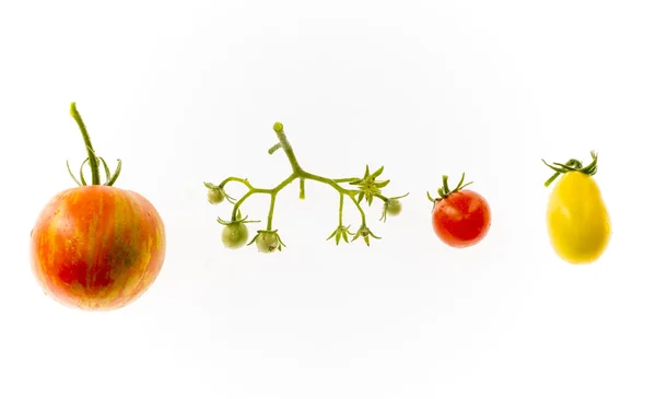 Pomodori di diversi tipi e dimensioni isolati su un bianco Foto Stock Royalty Free