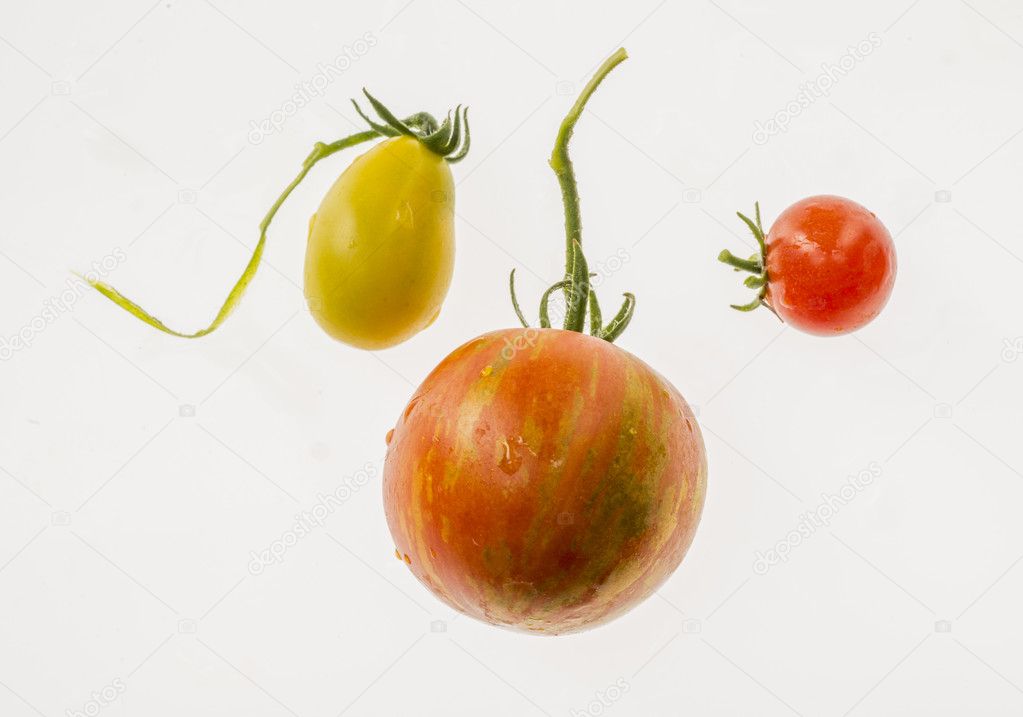 Tomatoes of different sorts and size isolated on a white
