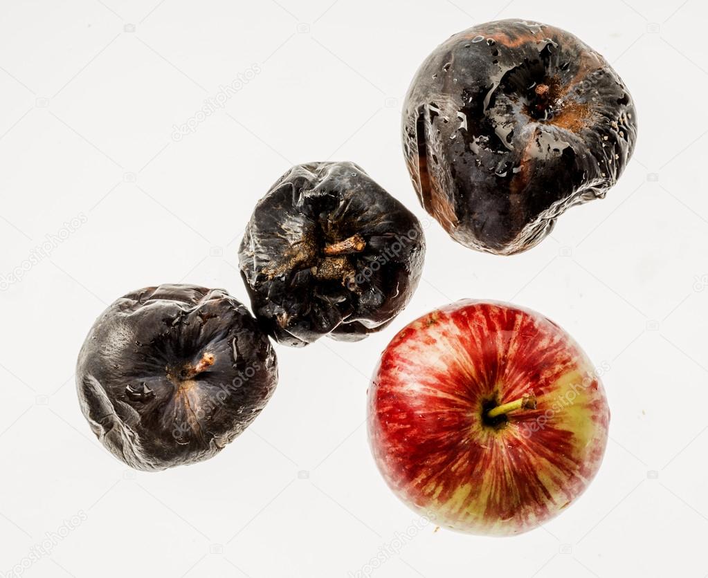 Apples in various states of decay isolated on white