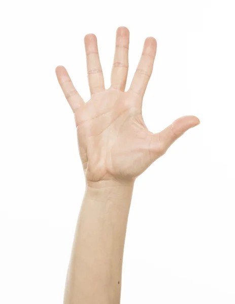Жест подсчета женских пальцев — стоковое фото