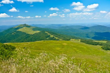 Tepelik çayırlar ve tepeler Bieszczady Dağlar, Polonya