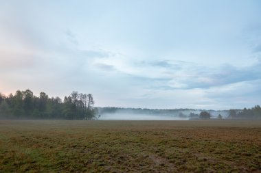 Beautiful misty evening