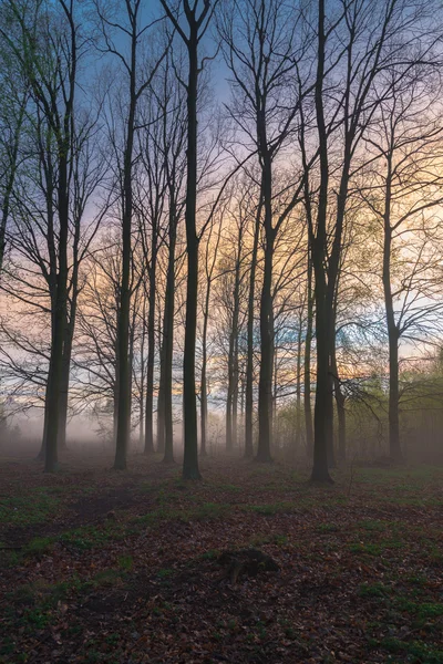 Beautiful misty evening