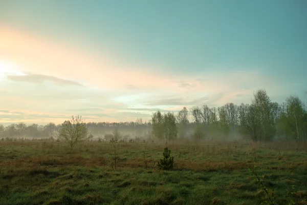 Beautiful misty evening