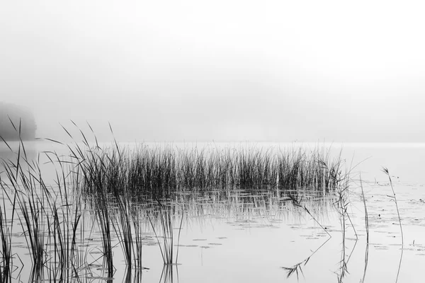 Mlhavé ráno krásné jezero — Stock fotografie