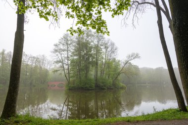 Lake Park bir sisli sabahı küçük adada