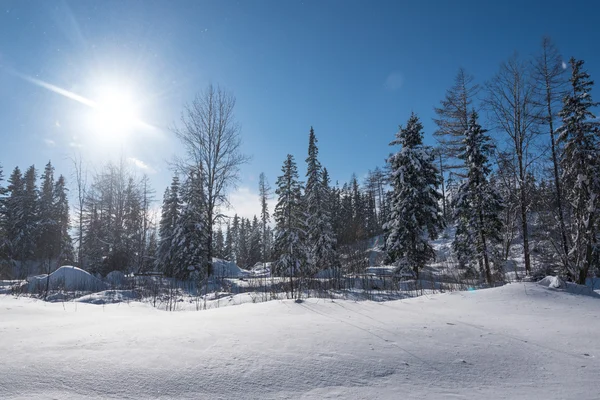 Луг покрыт порошковым снегом — стоковое фото