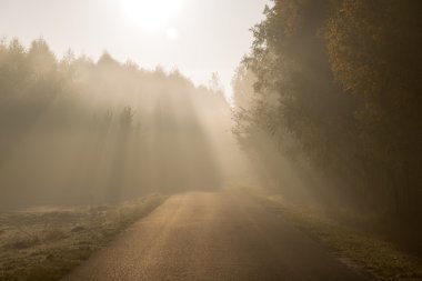 Yine de ağaçlar boş yolda geliyor güneş ışık demeti