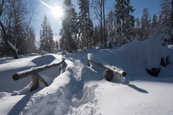 Горная тропа покрыта снегом и большими снежными заносами — стоковое фото