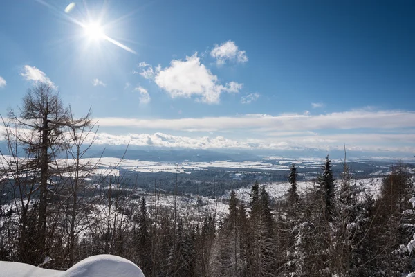 Прекрасное солнце, сияющее над долиной, покрытой снегом — стоковое фото