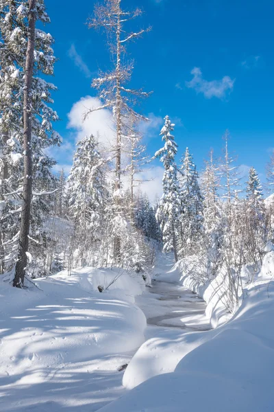 Маленькая речка в лесу, покрытая снегом — стоковое фото