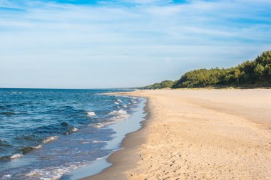 Sandy beach denizde güneşli bir gün