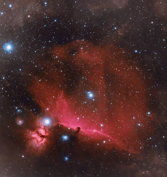 Nebulosa Cabeza Caballo Orión —  Fotos de Stock