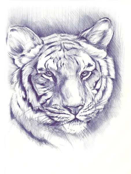 Black and white painted tiger — Stock Photo, Image