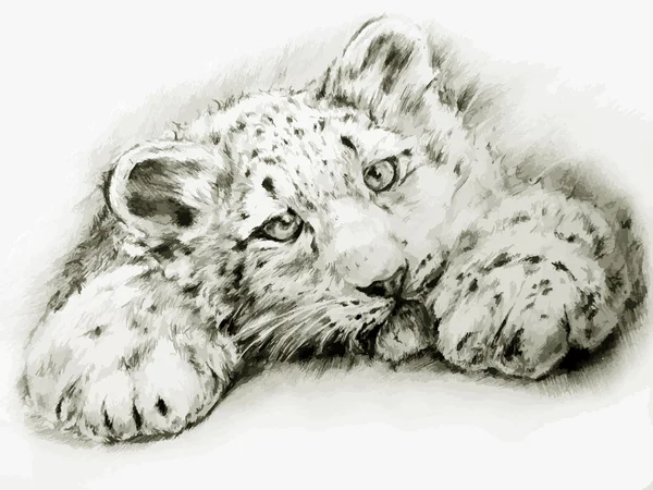 Леопард — стоковый вектор