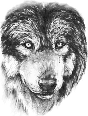 black wolf animal clipart