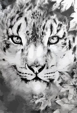 leopard pencil art clipart