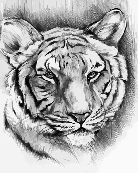 Чёрно-белый тигр — стоковый вектор