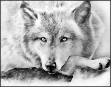 black-white painted wolf clipart