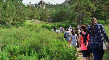Gölün kıyısındaki güzel taş kayalar. Birçok ağaç kayaların üzerinde yetişir. Taş bir kayanın üzerindeki çam ormanı. Burabay Milli Parkı, Kazakistan